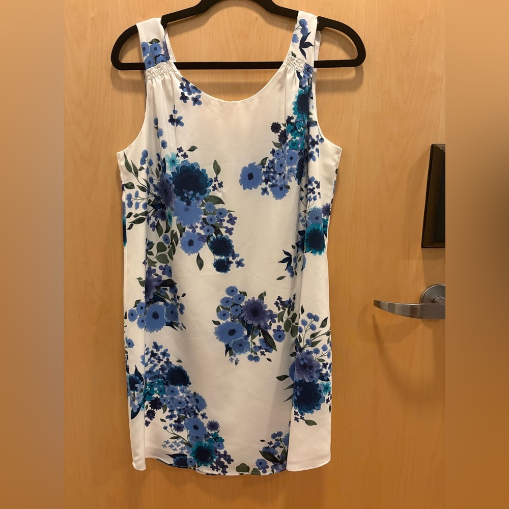 Eliane Rose Floral Blue and White Mini Dress